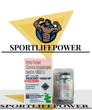 hcg  online by 